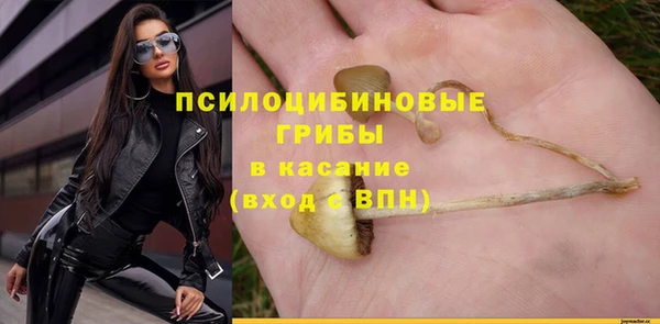 apvp Алексеевка