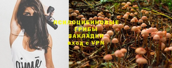 героин Алзамай
